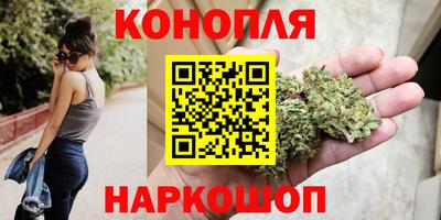 прущие крисы Будённовск