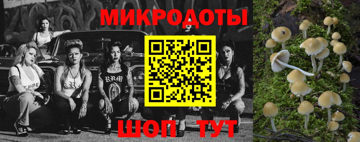 Псилоцибиновые грибы Psilocybine cubensis Рузаевка