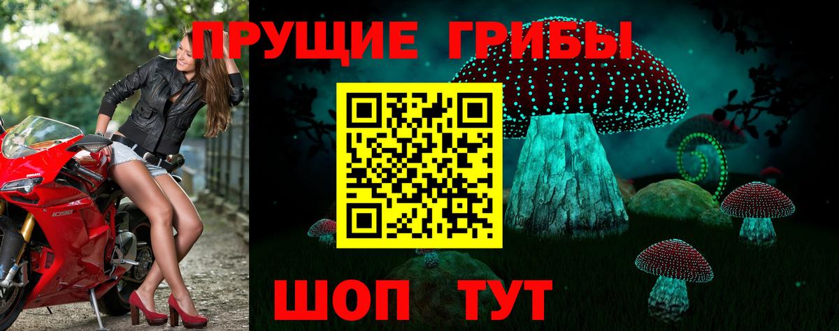 Псилоцибиновые грибы мицелий  Вход с VPN  Псилоцибиновые грибы GOLDEN TEACHER  Рузаевка 